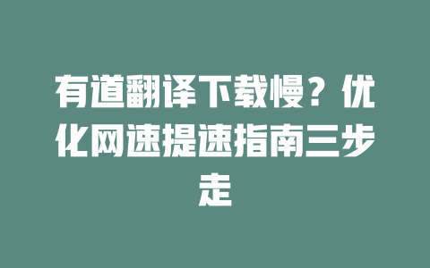 有道翻译下载慢?优化网速提速指南三步走 二