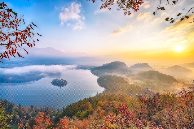 有道翻译下载手机指南2025年最新版 一