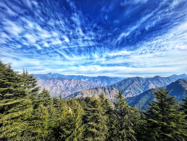 解决有道翻译下载错误:实用方法及2025年最新指南 一