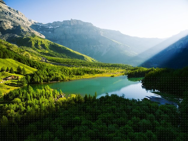 有道翻译下载安装安卓教程2025年+最新官方渠道推荐 一