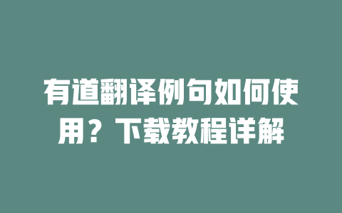 有道翻译例句如何使用?下载教程详解 二