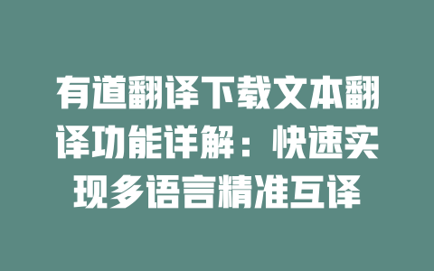 有道翻译下载文本翻译功能详解：快速实现多语言精准互译 二