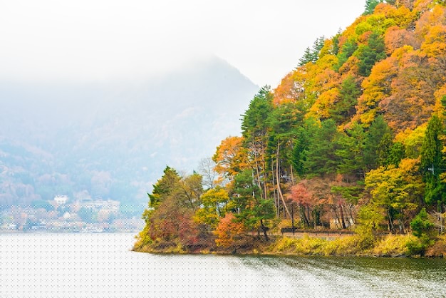 有道翻译下载安装教程:苹果设备轻松上手秘诀 一