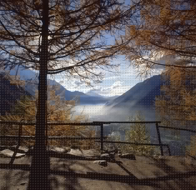 有道翻译语音功能无法下载?破解方法+备选软件双对策 一