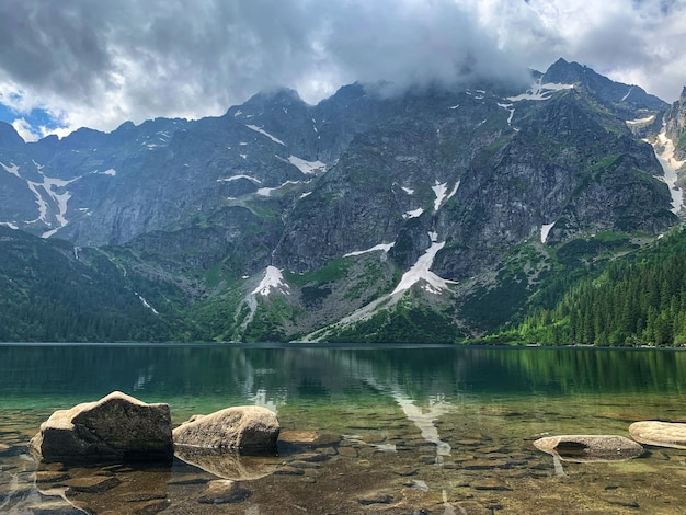 有道翻译下载与语音识别全教程解读,每一步骤都简明易懂!2023 一