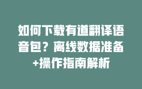 如何下载有道翻译语音包?离线数据准备+操作指南解析 二