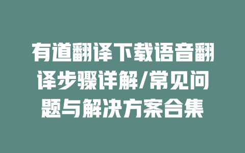 有道翻译下载语音翻译步骤详解/常见问题与解决方案合集 二