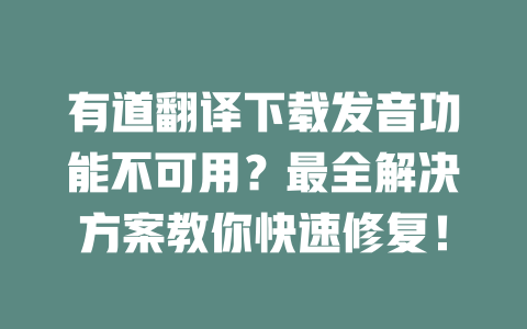 有道翻译下载发音功能不可用？最全解决方案教你快速修复！ 二