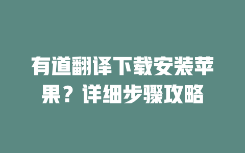 有道翻译下载安装苹果？详细步骤攻略 二