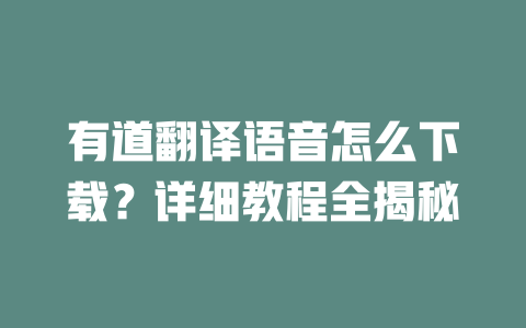 有道翻译语音怎么下载？详细教程全揭秘 二
