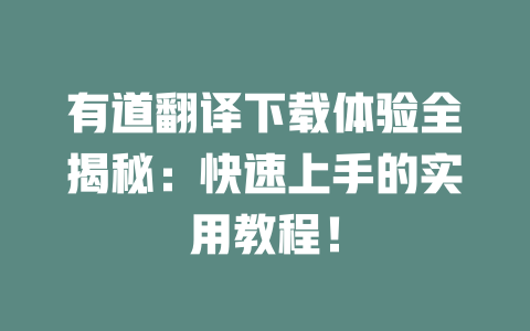 有道翻译下载体验全揭秘：快速上手的实用教程！ 二