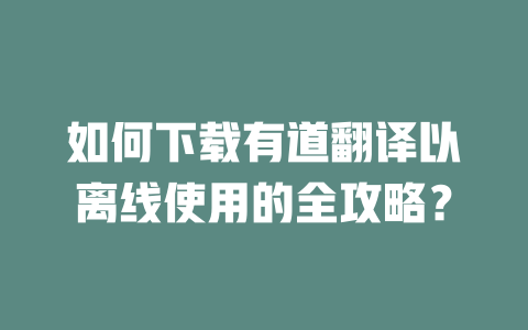 如何下载有道翻译以离线使用的全攻略? 二